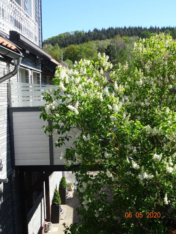 Fewo Hage Langelsheim Exteriér fotografie