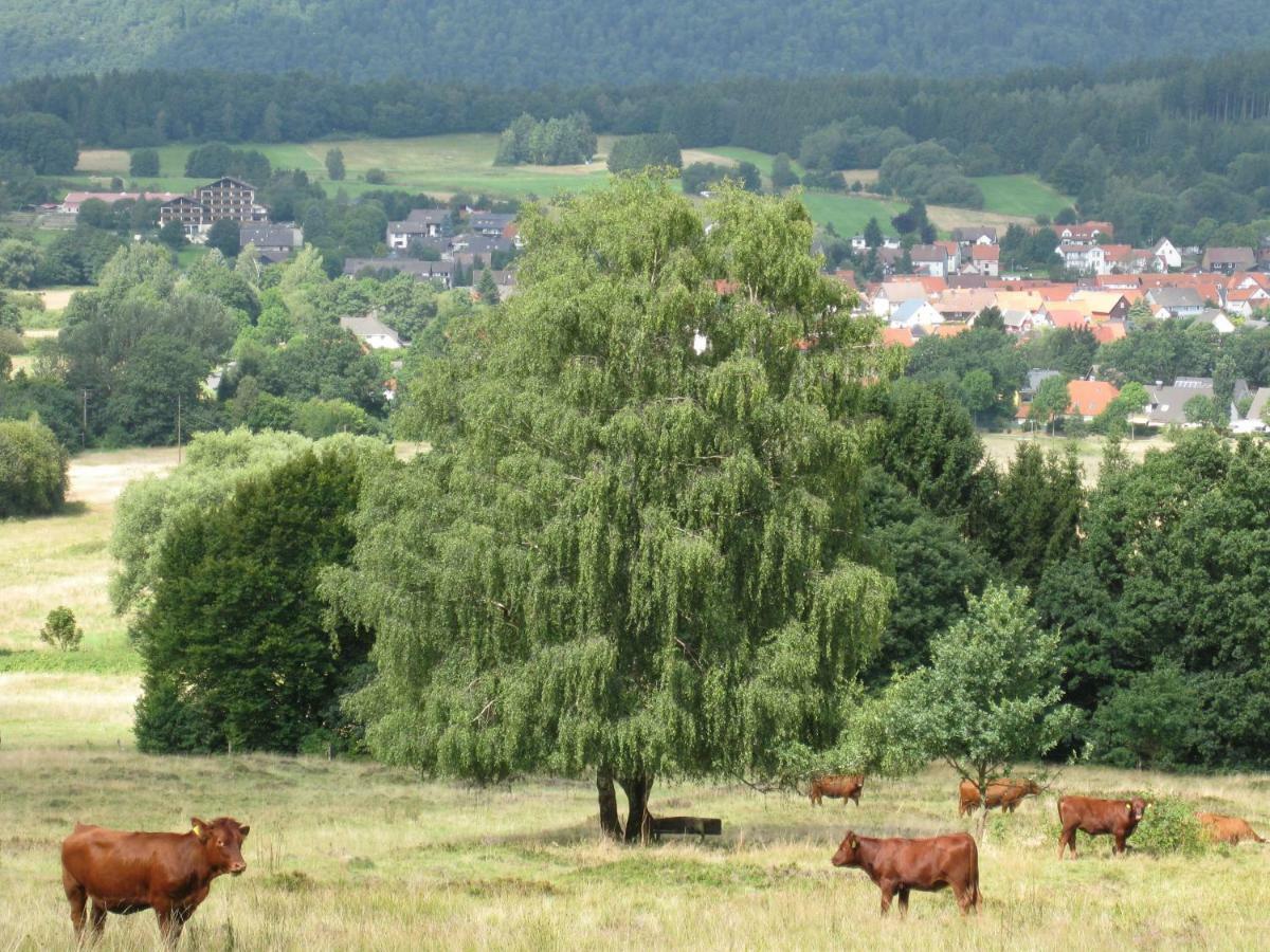 Fewo Hage Langelsheim Exteriér fotografie